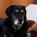 Profile Picture of Nance Middlemass (@nancemiddlemass) on Instagram