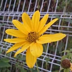 Profile Picture of Diane Bigley (@Diane-Bigley) on Facebook