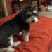 Profile Picture of Joann Hebert (@joann.hebert.965) on Facebook