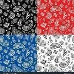 Profile Picture of LEO_FINLAY (@leo_finlay1) on Instagram