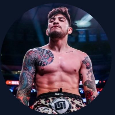 Dillon Danis - Twitter Profile Picture of Dillon Danis (@dillondanis4) on Twitter