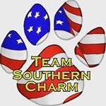 Profile Picture of Steve Mize (@teamsoutherncharm) on Instagram