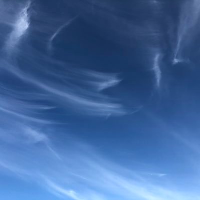 Profile Picture of Jason Zong (@JasonZong16) on Twitter