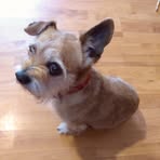 Profile Picture of David Herring (@David-Herring) on Facebook