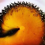 Profile Picture of Dorian Z Bell (@dorianzbell) on Instagram