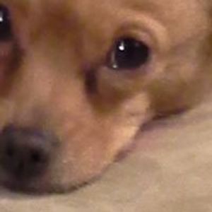 Profile Picture of Debbie Crompton (@debbie.crompton.3388) on Myspace