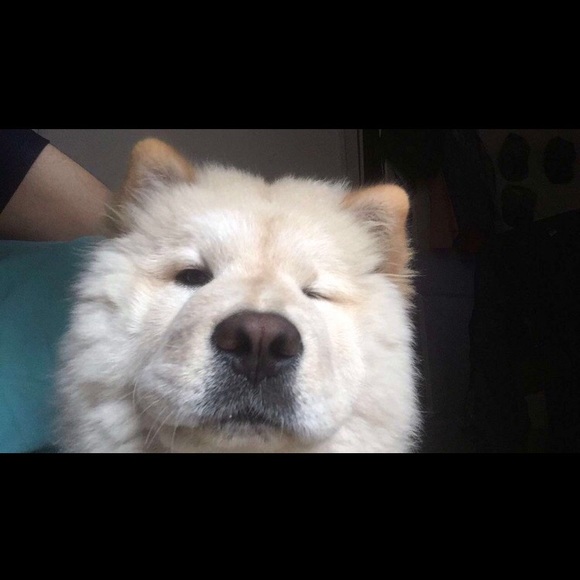 Profile Picture of Ethan Aguilar (@ethan5242) on Poshmark