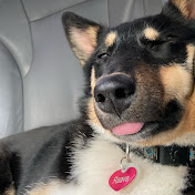 Profile Picture of Jeremy Goldman (@jeremygoldman3267) on Youtube