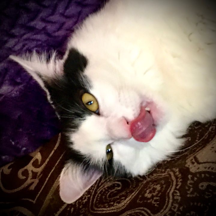 Profile Picture of Robertcooley (@Robertcooley) on Tiktok