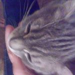 Profile Picture of 💕Crystal 💕 (@crystal._.lackey) on Instagram