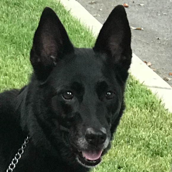 Profile Picture of Leah Rosenthal (@leahrose05) on Poshmark