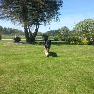 Profile Picture of David Loberg (@Loberg975) on Twitter