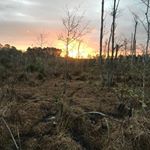 Josh Saxon - Instagram Profile Picture of Josh Saxon (@josh.saxon.7906) on Instagram