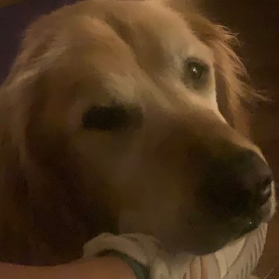 Profile Picture of Stacey Cromer (@StaceyCromer1) on Twitter