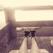 Profile Picture of Kyrah Nieuwenburg Nieuwenburg (@knieuwenburg) on Pinterest