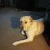 Profile Picture of Terry Kent Simmons (@terry.k.simmons.9) on Facebook