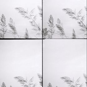 Profile Picture of carlota tome (@castillloo) on Pinterest