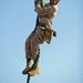 Profile Picture of Darryl Wells (@darryl5524) on Pinterest