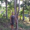 Profile Picture of dinatutor2 (@dinatutor2) on Tiktok
