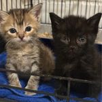 Profile Picture of Jennifer Leeds Byerly (@jenniferleedsbyerly) on Instagram