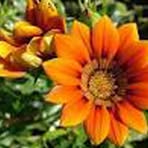 Profile Picture of Ayisha Shifanaaz (@ayisha.shifanaaz) on Facebook