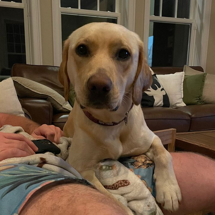 Profile Picture of shira.r.nelson (@shira.nelson) on Tiktok