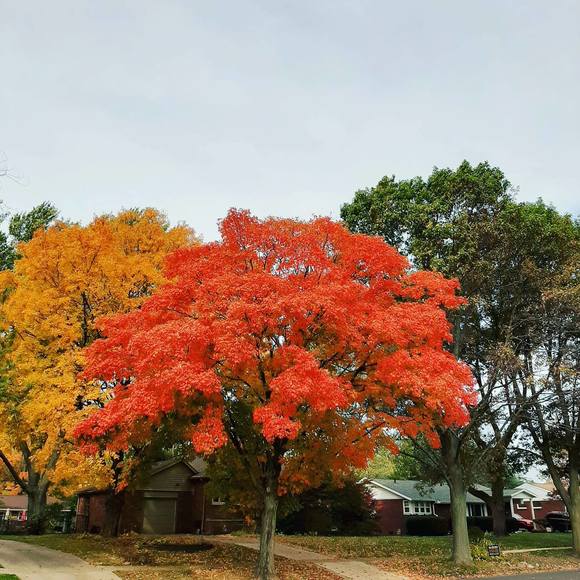 Profile Picture of Borah Kang (@borahkang) on Poshmark