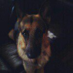 Stephanie Hamilton - Instagram Profile Picture of Stephanie Hamilton (@warthamilton) on Instagram