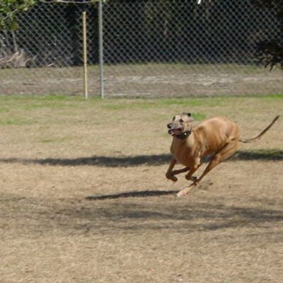 Profile Picture of Jim Boylan (@JimBoylan1) on Twitter