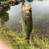 Profile Picture of Peter 🎣 (@@peter_fish) on Tiktok