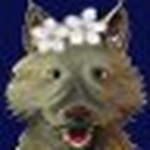 Profile Picture of Michele Wolfe (@mamalobo) on Flickr
