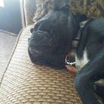 Profile Picture of Bootyhole (@culpzachary) on Instagram