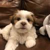 Profile Picture of user3598638255145 (@@peter_berns) on Tiktok
