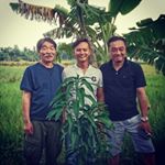Profile Picture of Bùi Hoàng Minh (@hoangminh.bui) on Instagram