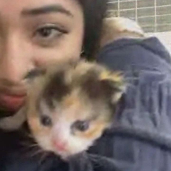 Profile Picture of simonegaur (@simonegaur) on Tiktok