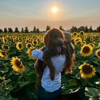 Profile Picture of Janet Kaiser (@thelittleredfiretruck112) on Instagram