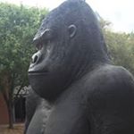 Profile Picture of Brian Furr (@brianfurr13) on Instagram