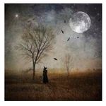 Profile Picture of Kim DeBoer (@kim_deboer) on Instagram