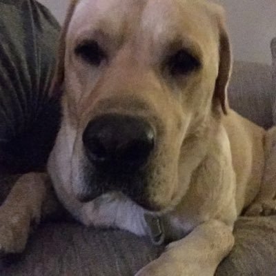 Profile Picture of Brian Breheny (@bvbreheny) on Twitter