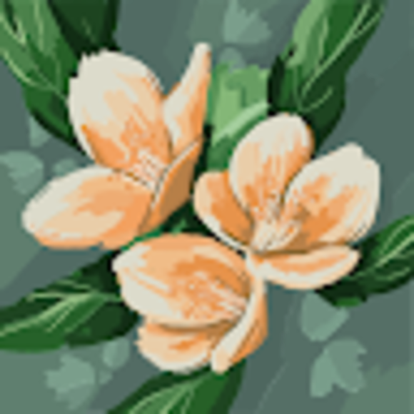 Profile Picture of Emma Zolecki (@emmazolecki) on Poshmark