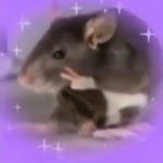 Profile Picture of 𝔐𝔞𝔯𝔦𝔢𝔩 𝔉𝔯𝔞𝔫𝔠𝔬 (@merme.nwn) on Instagram