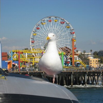 Profile Picture of Dave Malacrida (@buzzmasterpr) on Twitter