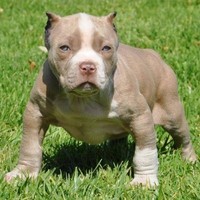 Profile Picture of Caleb Cobb (@caleb-cobb-7) on Quora