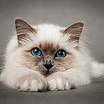 Profile Picture of Marek Witczak (@fotofaktorx) on Flickr