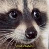 Profile Picture of Ray Corral (@raygreenex) on Tiktok