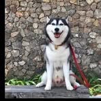 Profile Picture of James Brown (@James-Brown) on Facebook