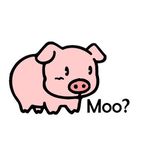 Profile Picture of Matthew Birmingham (@manaramo12) on Instagram