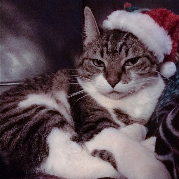 Profile Picture of Michaela Carrizales (@kayla22carr) on Poshmark