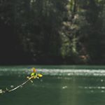 Profile Picture of Nancy L'Orange (@dalcius__25_da) on Instagram