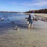 Michael Wiseman - Instagram Profile Picture of Michael Wiseman (@mickeyfinneganwiseman) on Instagram